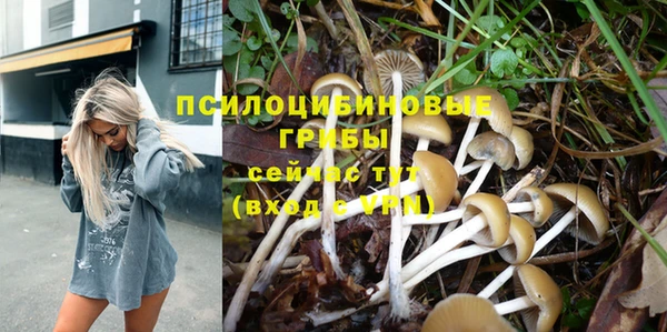 ешки Баксан