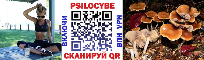 Псилоцибиновые грибы ЛСД  Унеча 