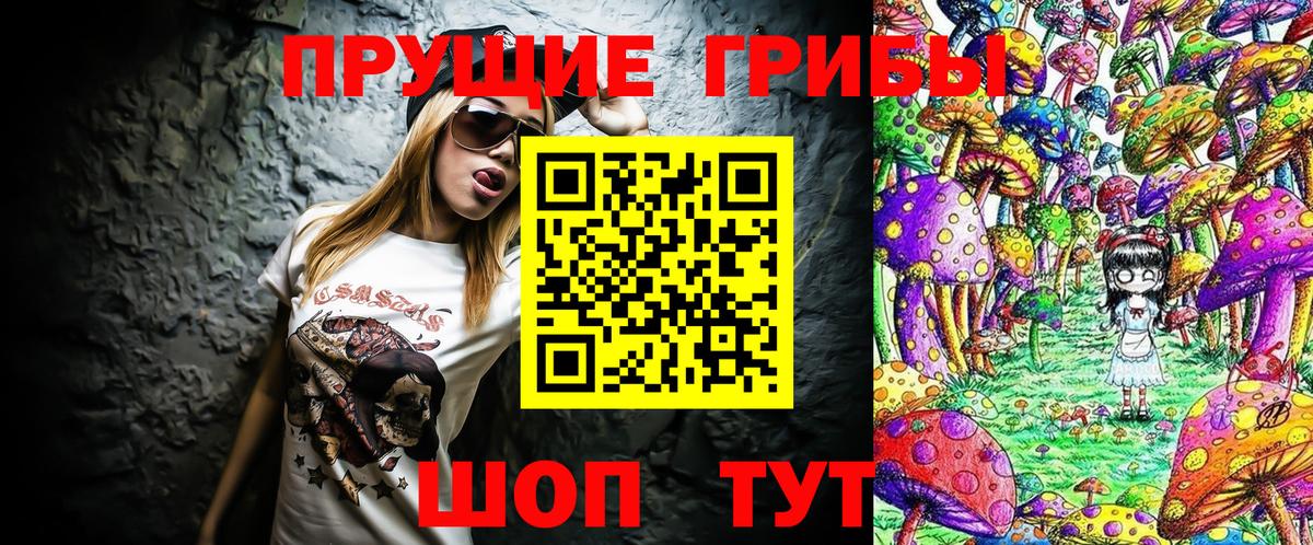 Галлюциногенные грибы Psilocybe  Вход с VPN  Унеча 