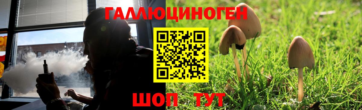 A-PVP Унеча